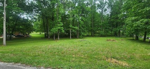 Residential Lot in Huntingdon, TN