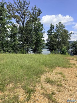 LAND - Scottsboro, AL