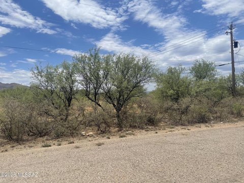 LAND - Rio Rico, AZ