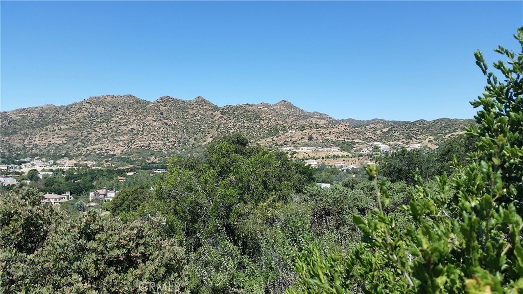 Picture 29