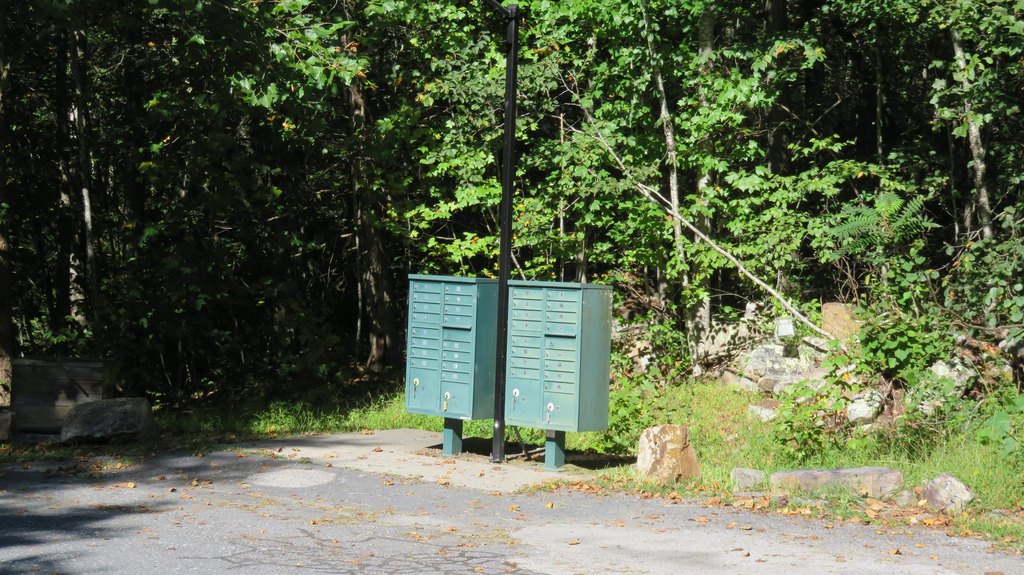 Picture 8