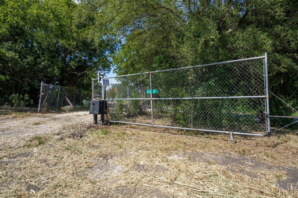 Picture 5