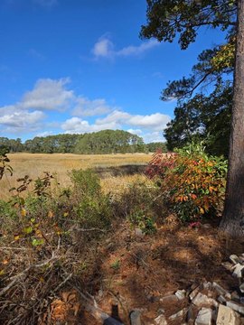 Residential Land with Marsh Views