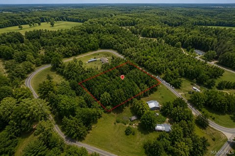 Residential Land in Lowndesboro, AL