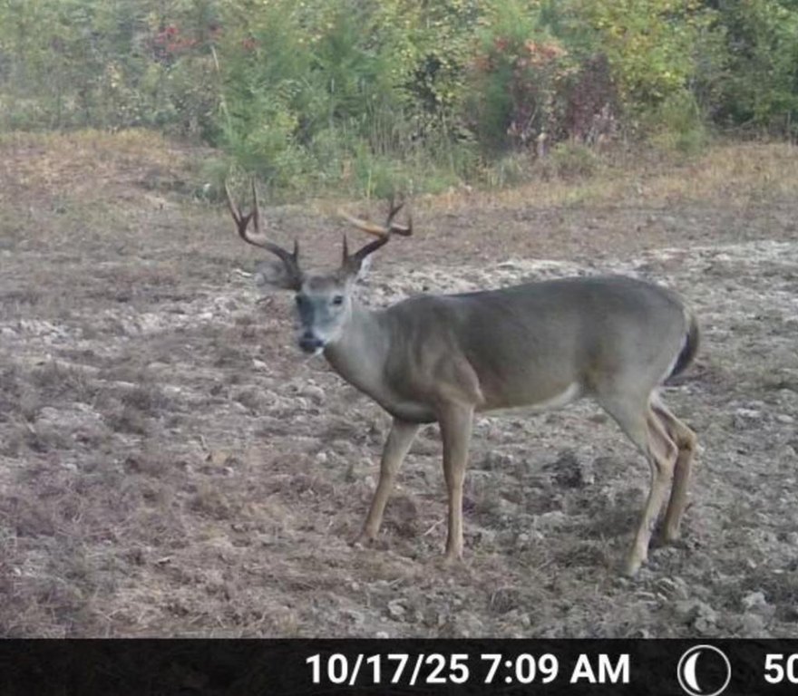 Picture 14