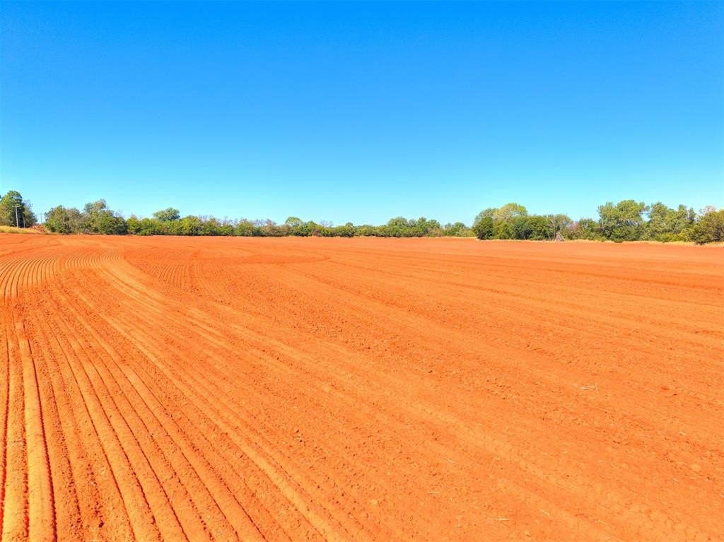 Picture 28