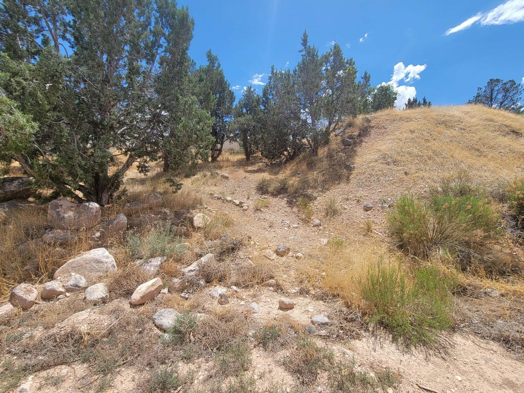 Picture 4