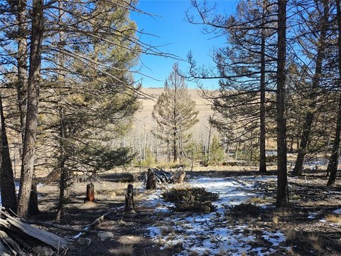 Redhill Forest Homesite in Fairplay