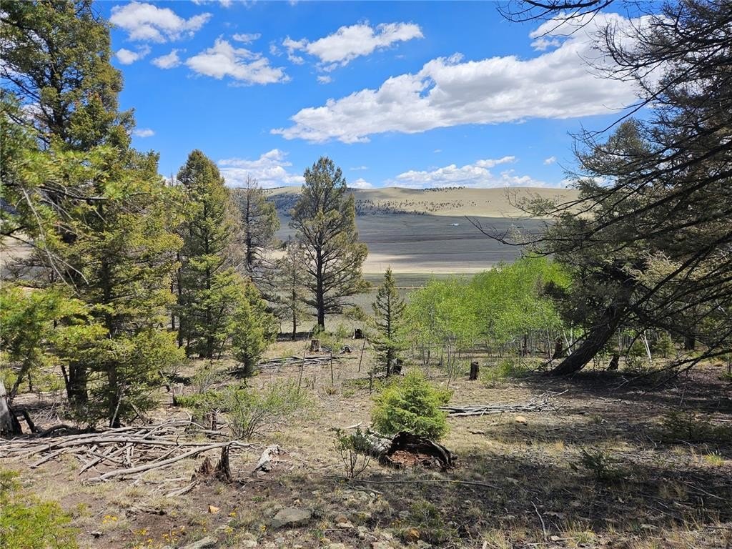 Redhill Forest Homesite in Fairplay
