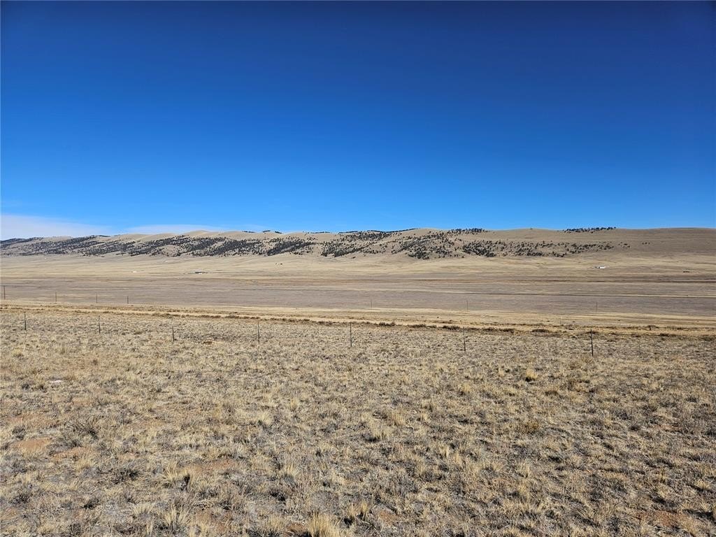 Picture 25