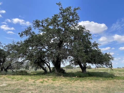 Land, Floresville, TX