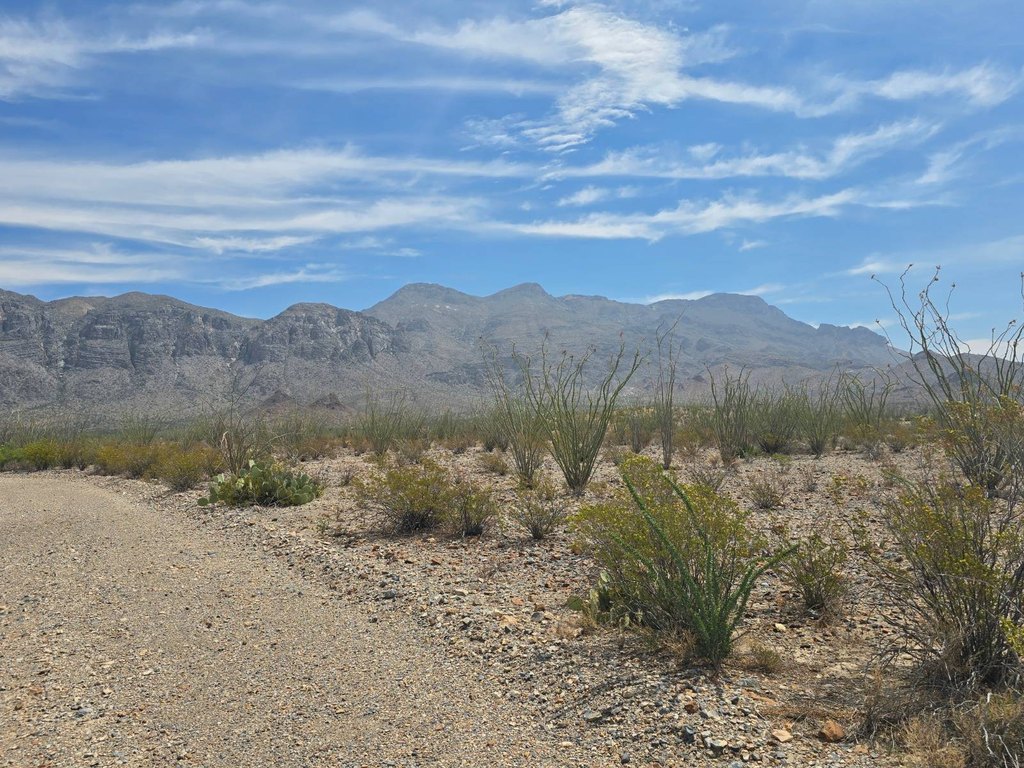 Picture 22