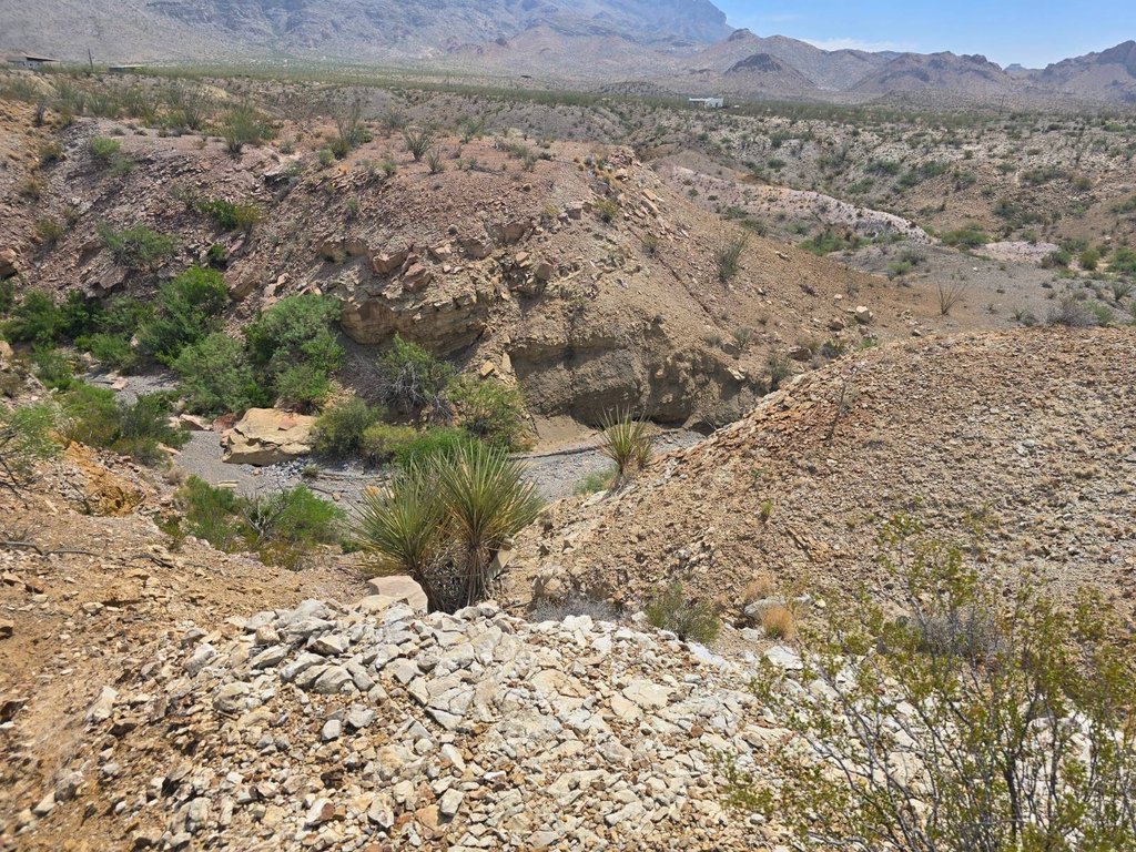 Picture 16