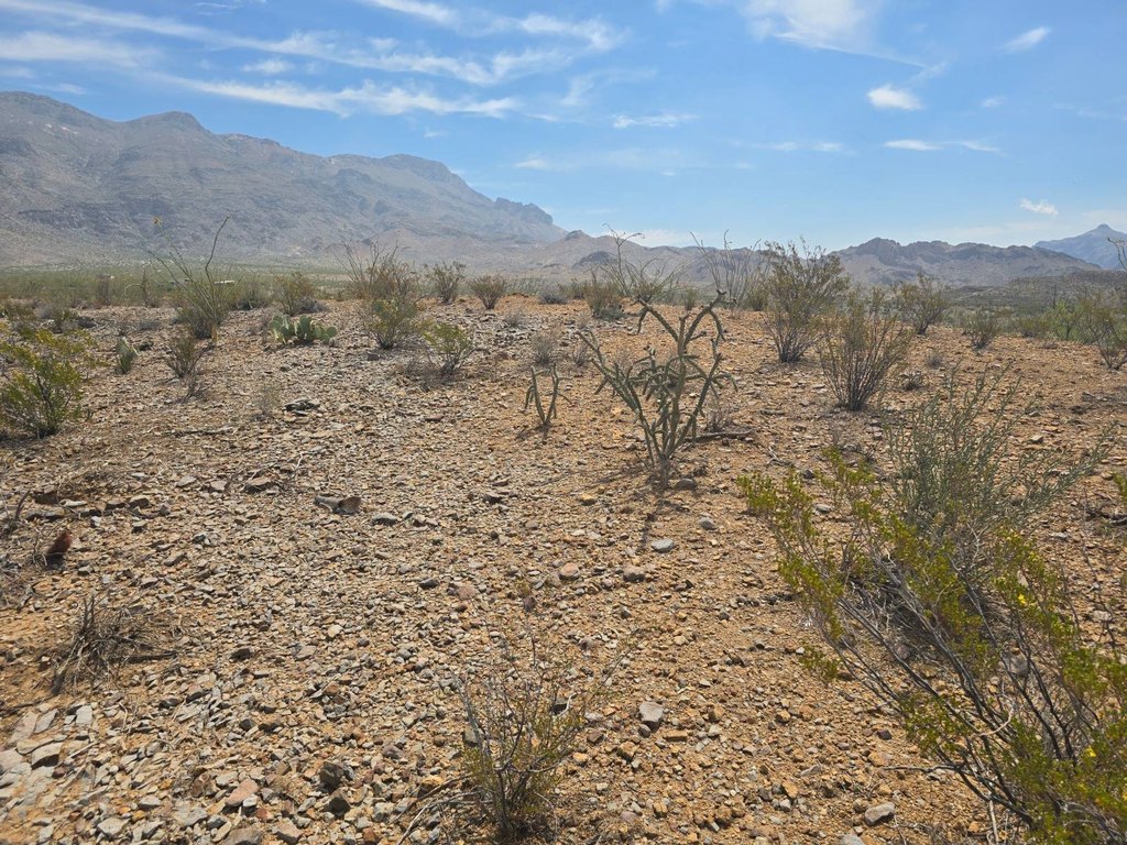 Picture 18