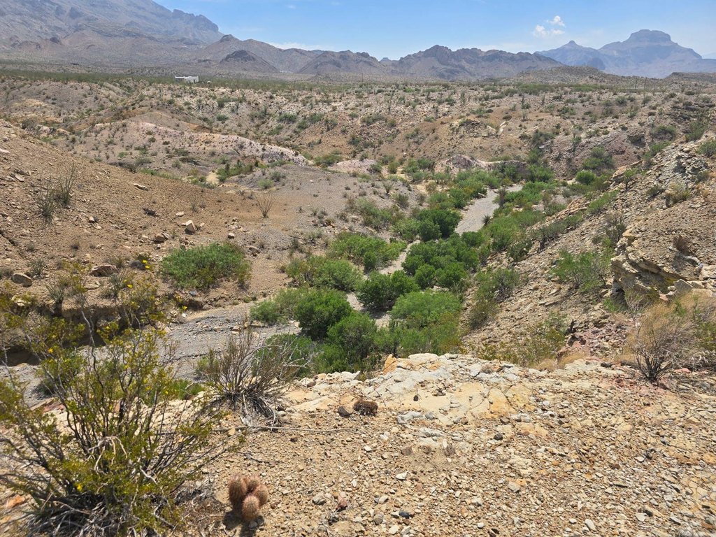 Picture 14
