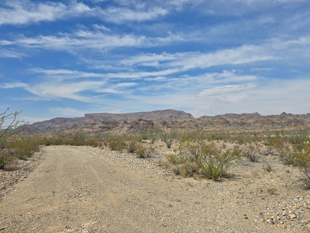Picture 19