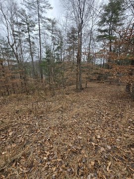 Campton, KY Wooded Lot