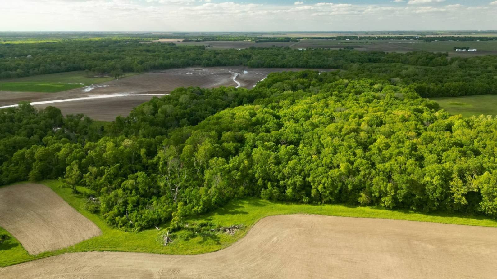 40 Acres Recreational Land, Taylorville