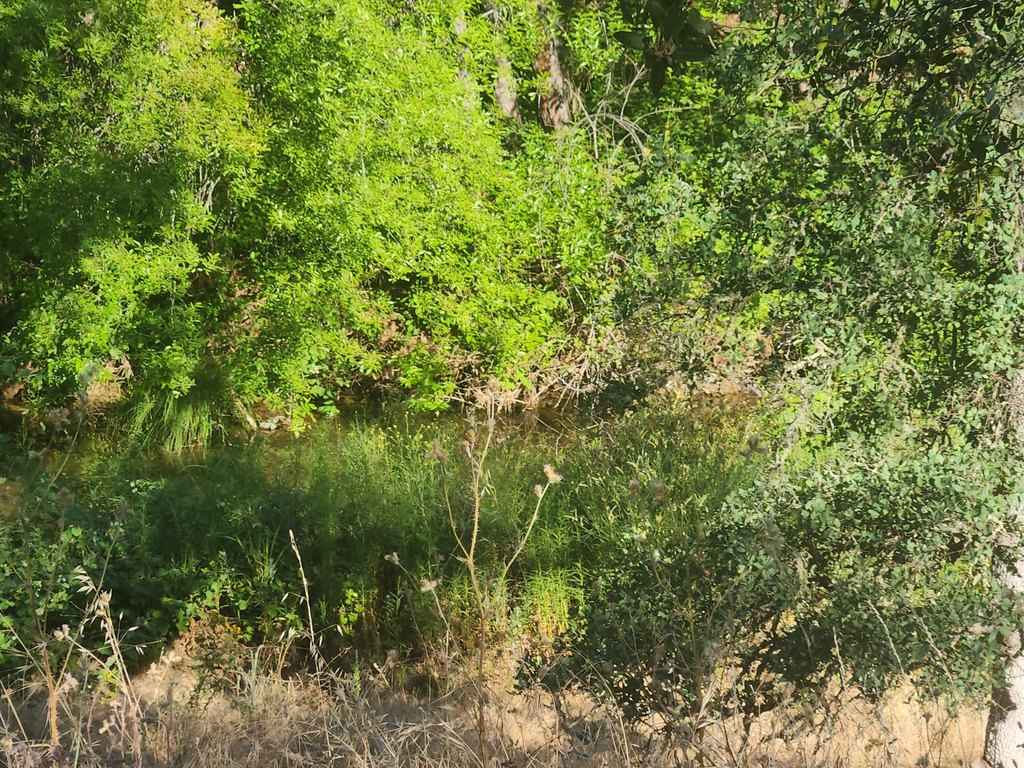 Picture 12