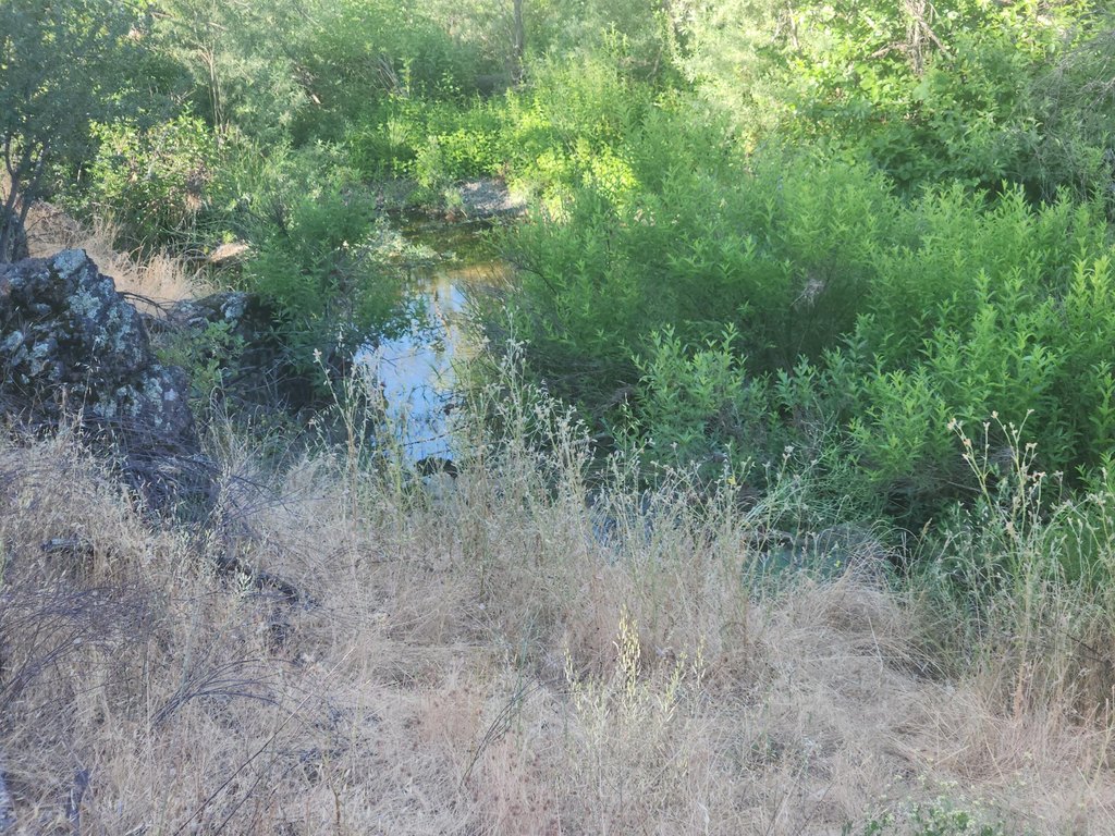 Picture 7