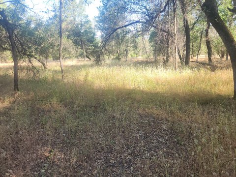LAND - Redding, CA