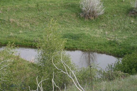 Picture 23