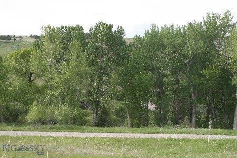 Picture 24