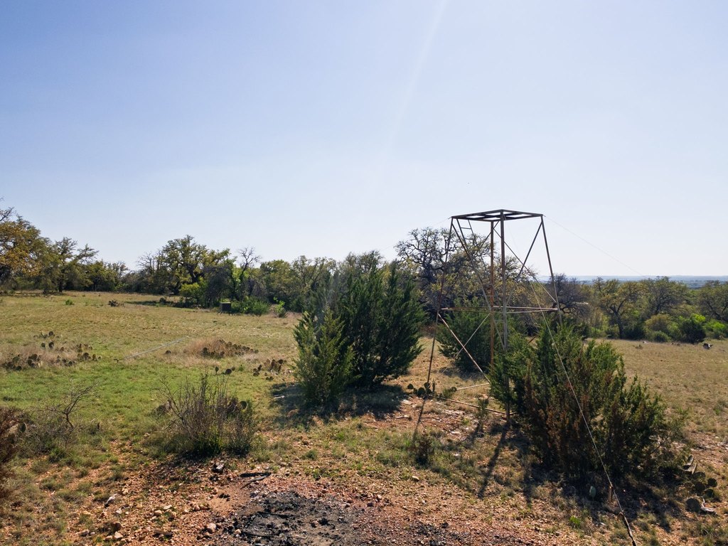 Picture 19