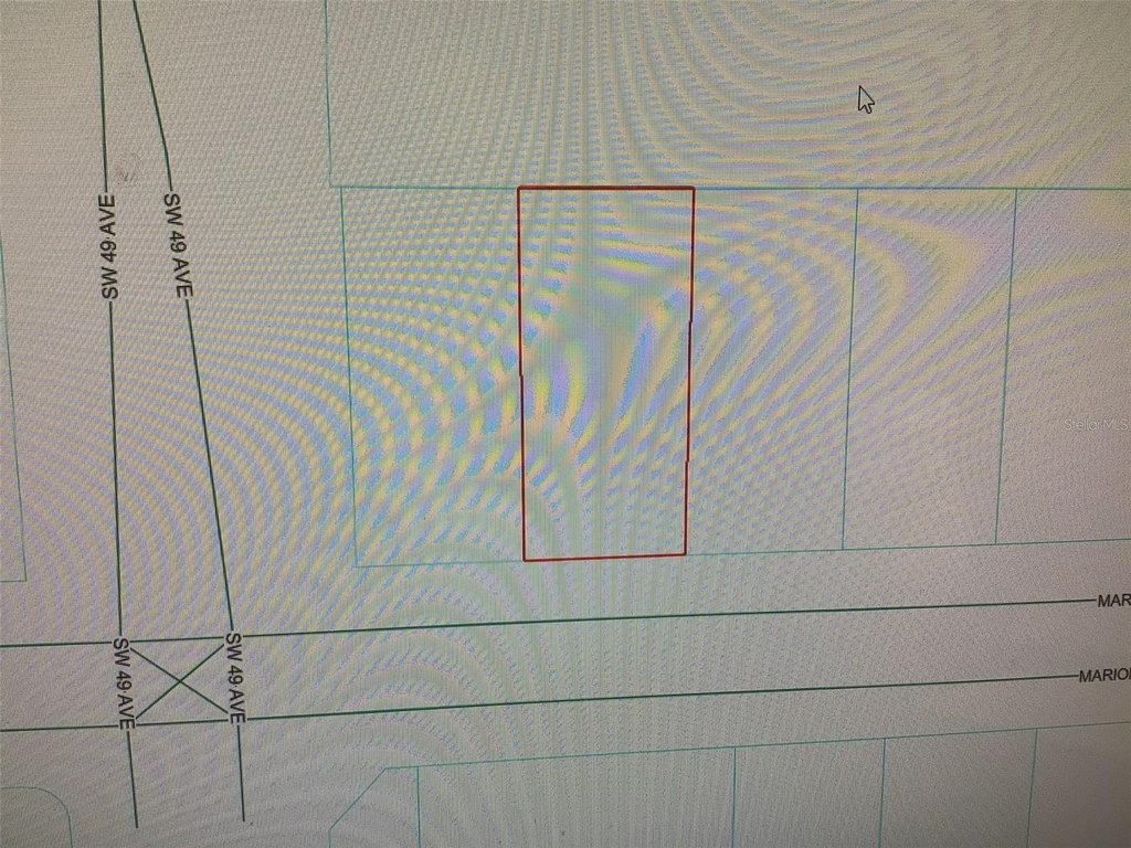 Picture 3