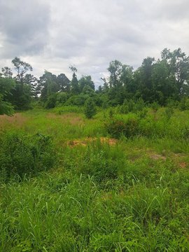 McBee, SC Land Parcel