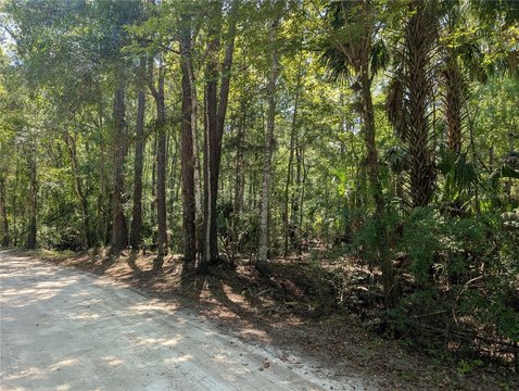 Land, HERNANDO, FL