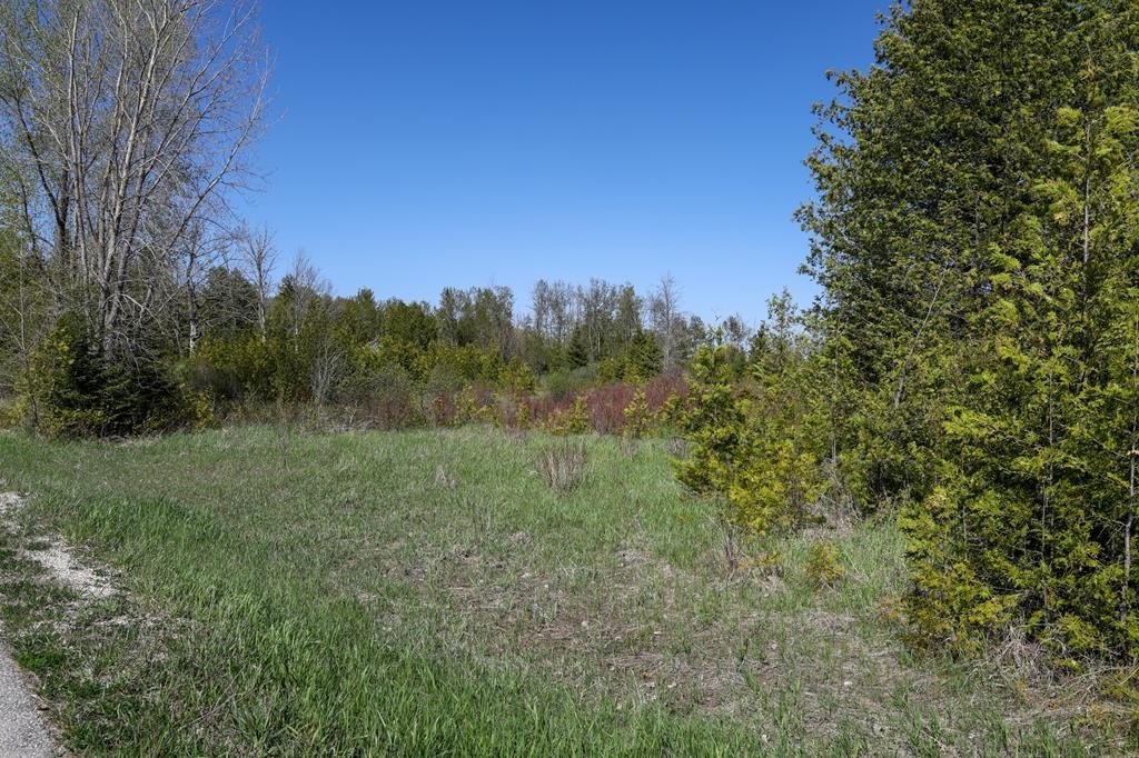 Land Near Idlewild Golf Course