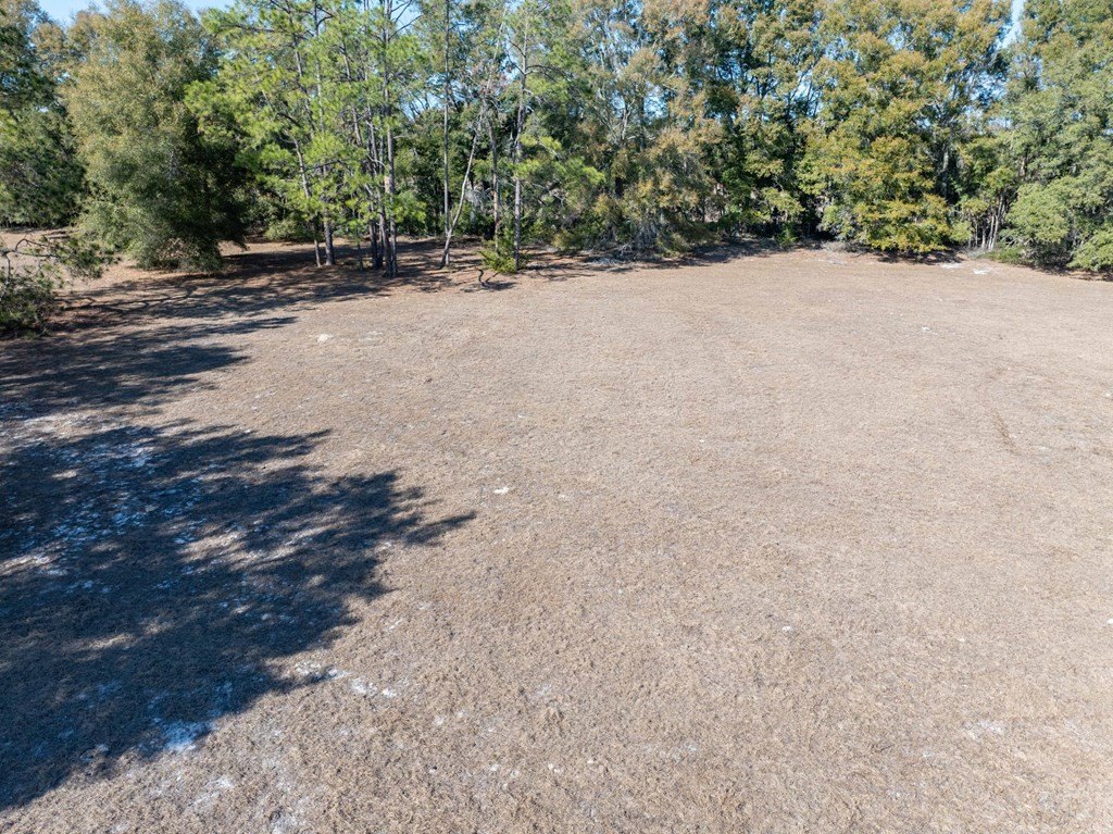 Picture 10