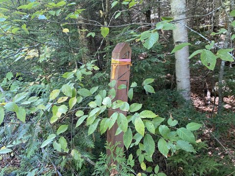 Lakeville Waterfront Recreational Land Parcel