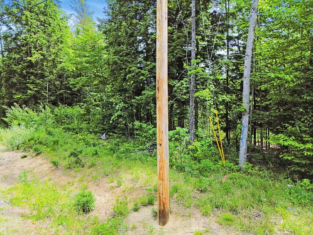 Picture 9