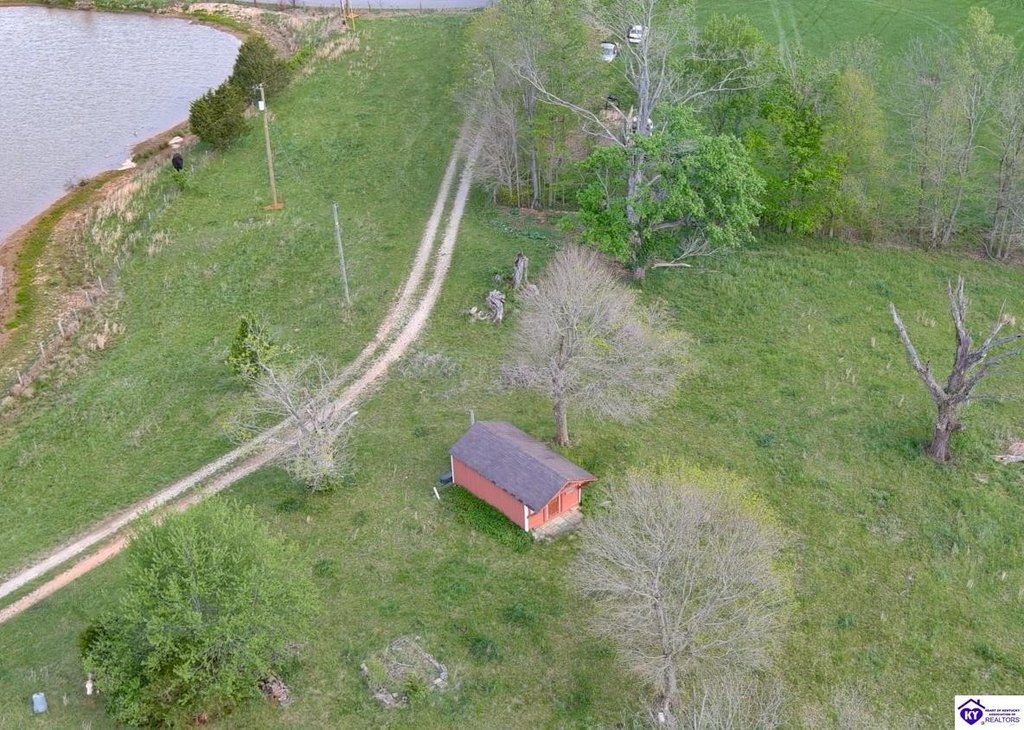 Picture 16