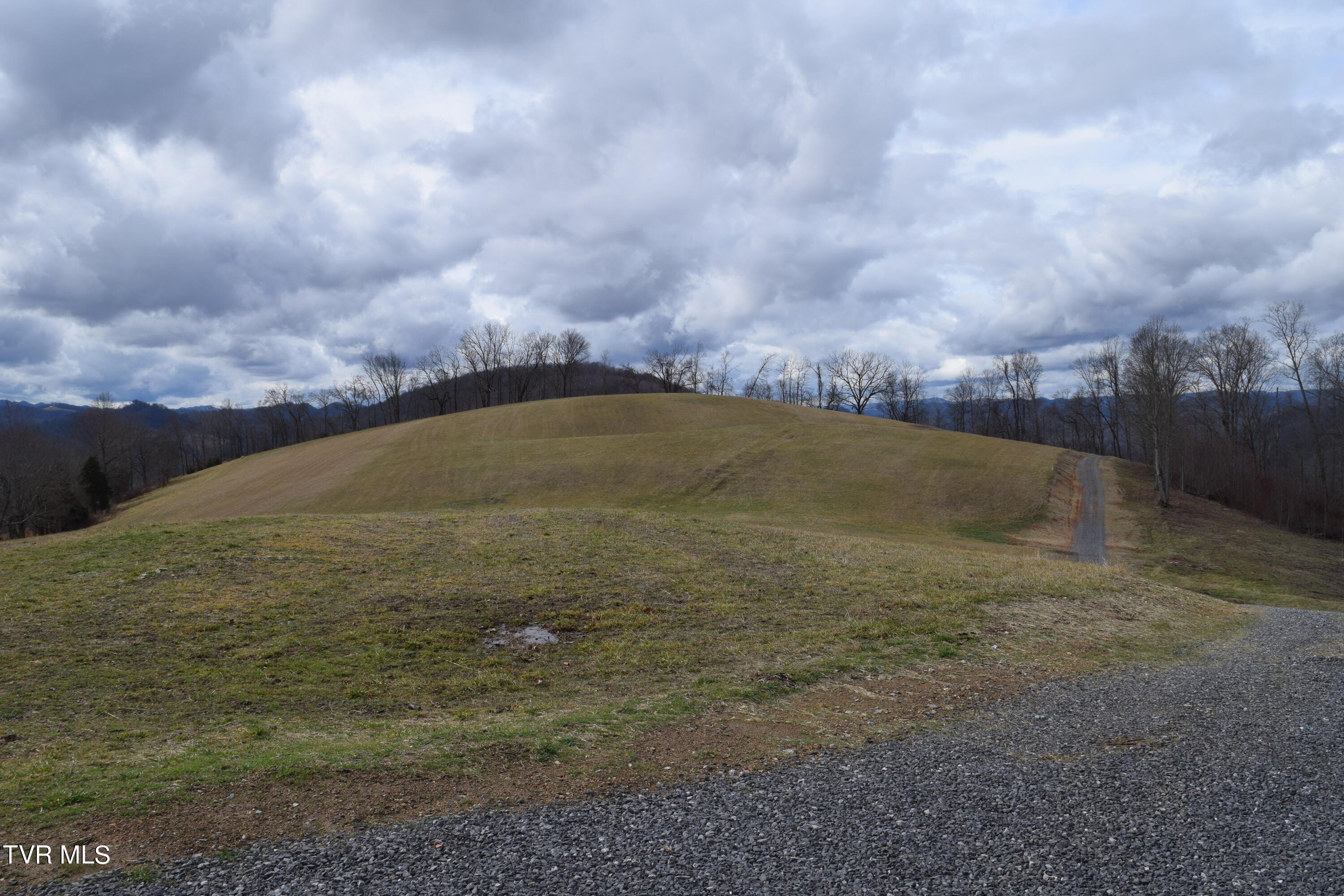 27.33 Acres in Eidson, TN