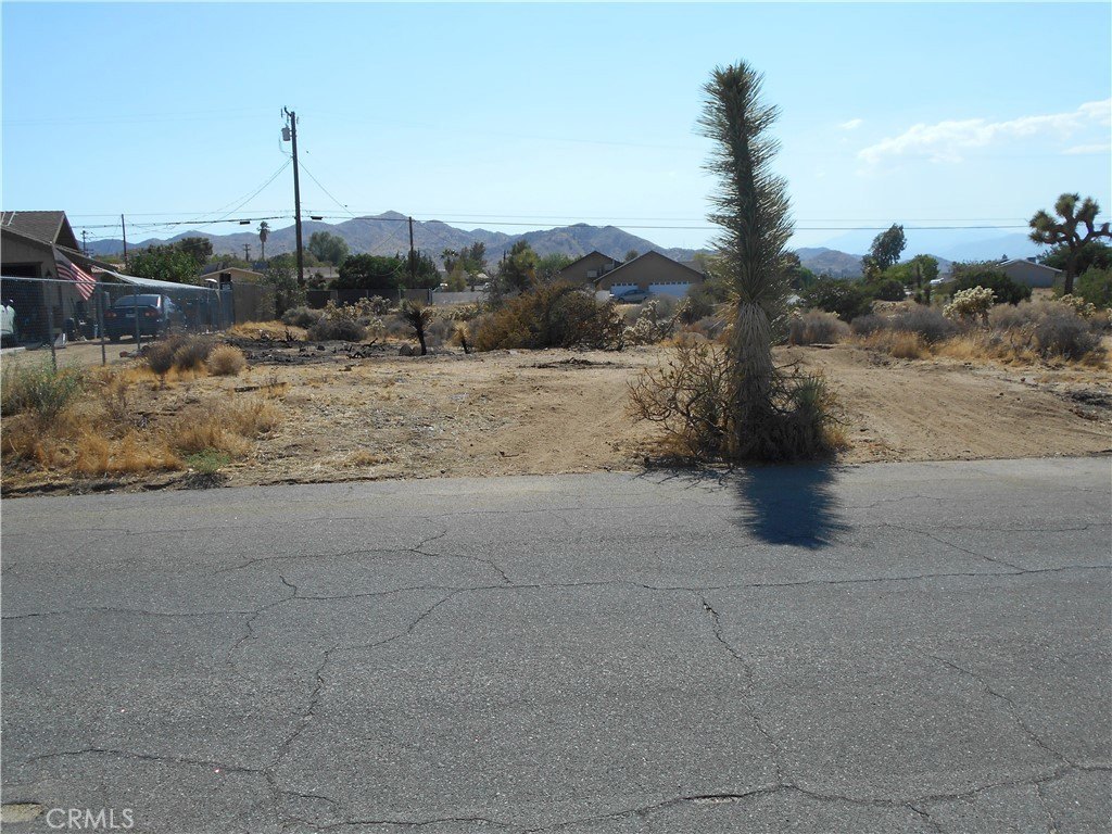 Picture 2