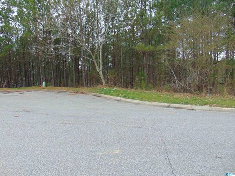 Land for Sale in Alabaster