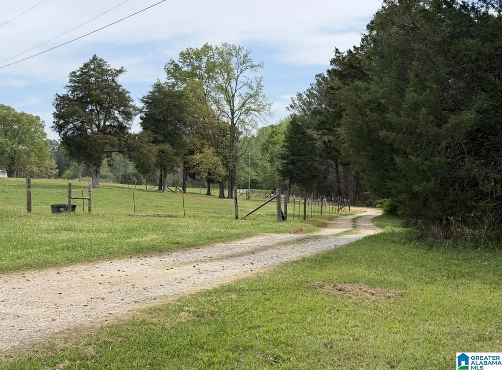 Picture 23