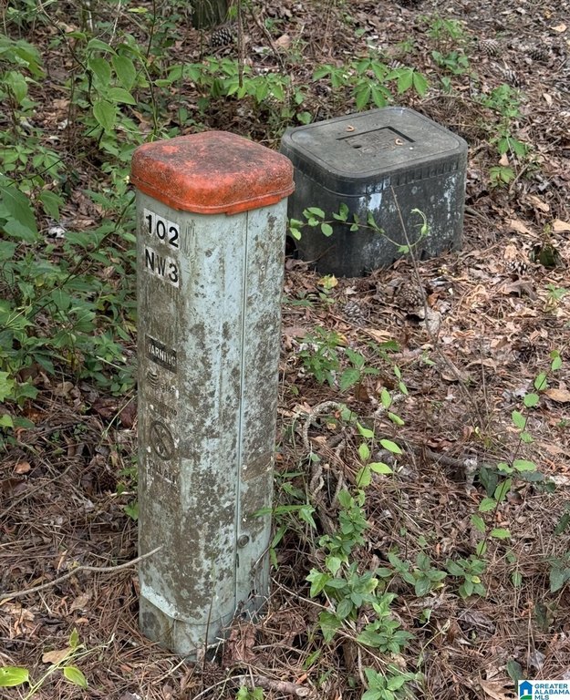 Picture 13