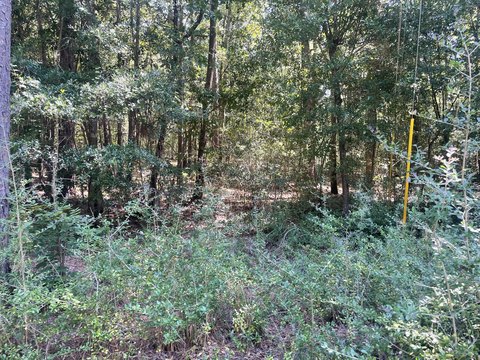 Aiken Residential Land Opportunity