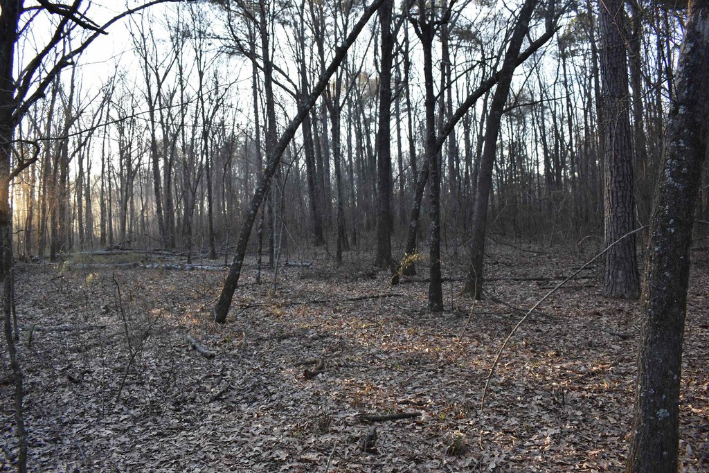 Picture 9