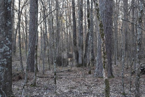 Residential Development Land in Pine Bluff
