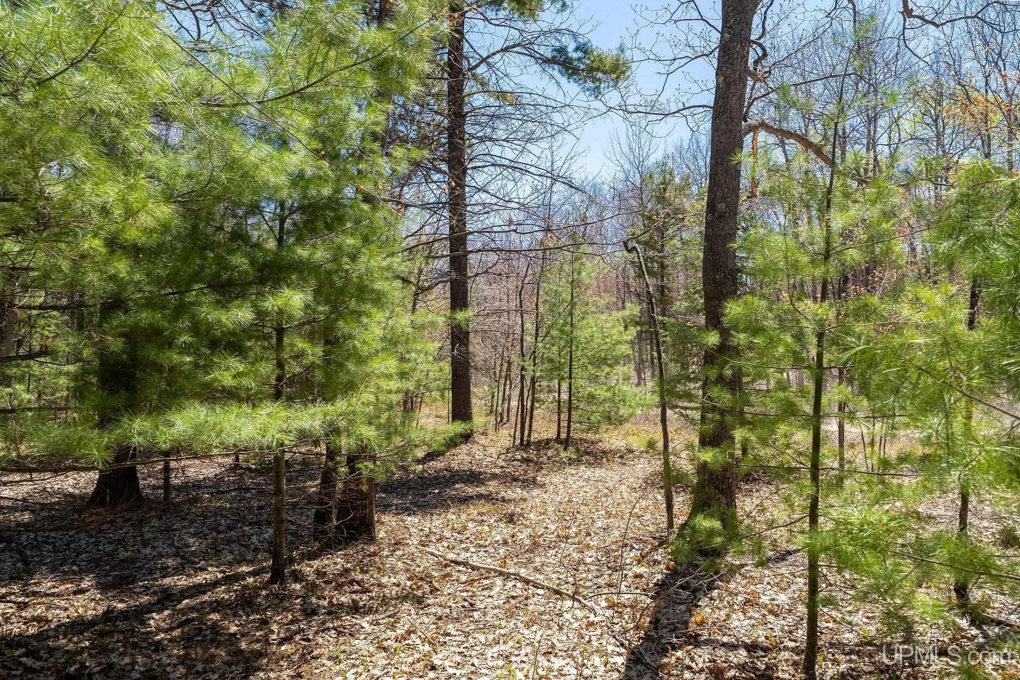 Marquette Wooded Parcel For Sale