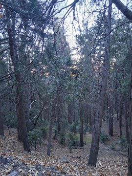 Cedarpines Park Land/Lot