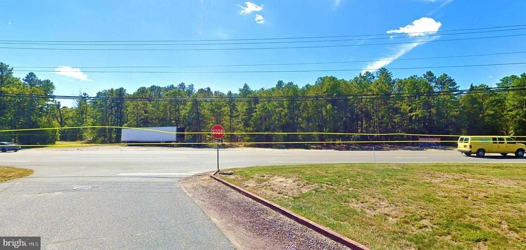 Picture 11