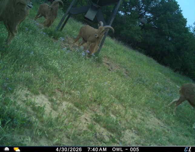 Picture 34