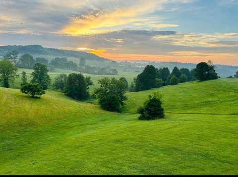 Residential Land in Shiner Hills