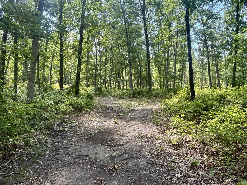 Picture 25